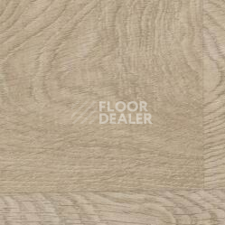 Линолеум Taralay Initial Comfort 0828 Habana Beige фото 1 | FLOORDEALER